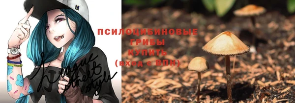 прущие крисы Михайлов